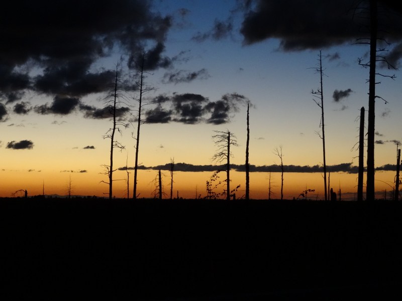 Tombée de la nuit sur la fôret