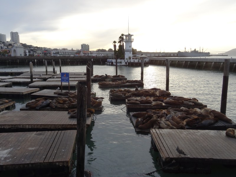 Pier 39