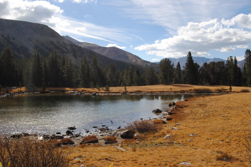 Yosemite National Park