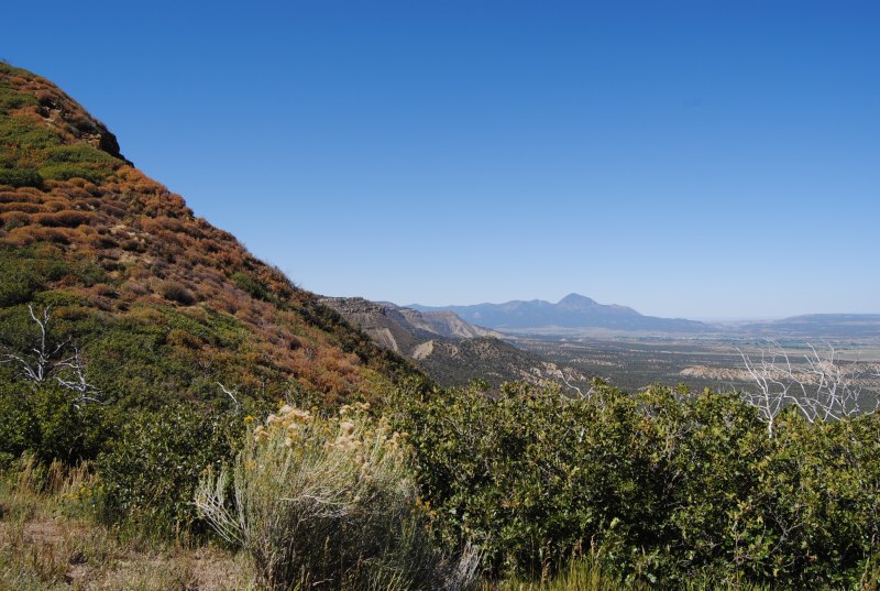 Mesa Verde