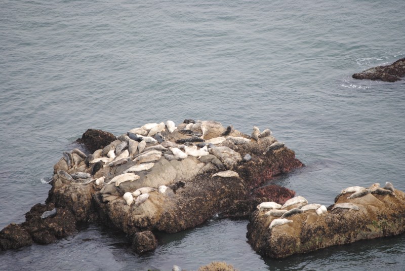 En marchant vers le phare
