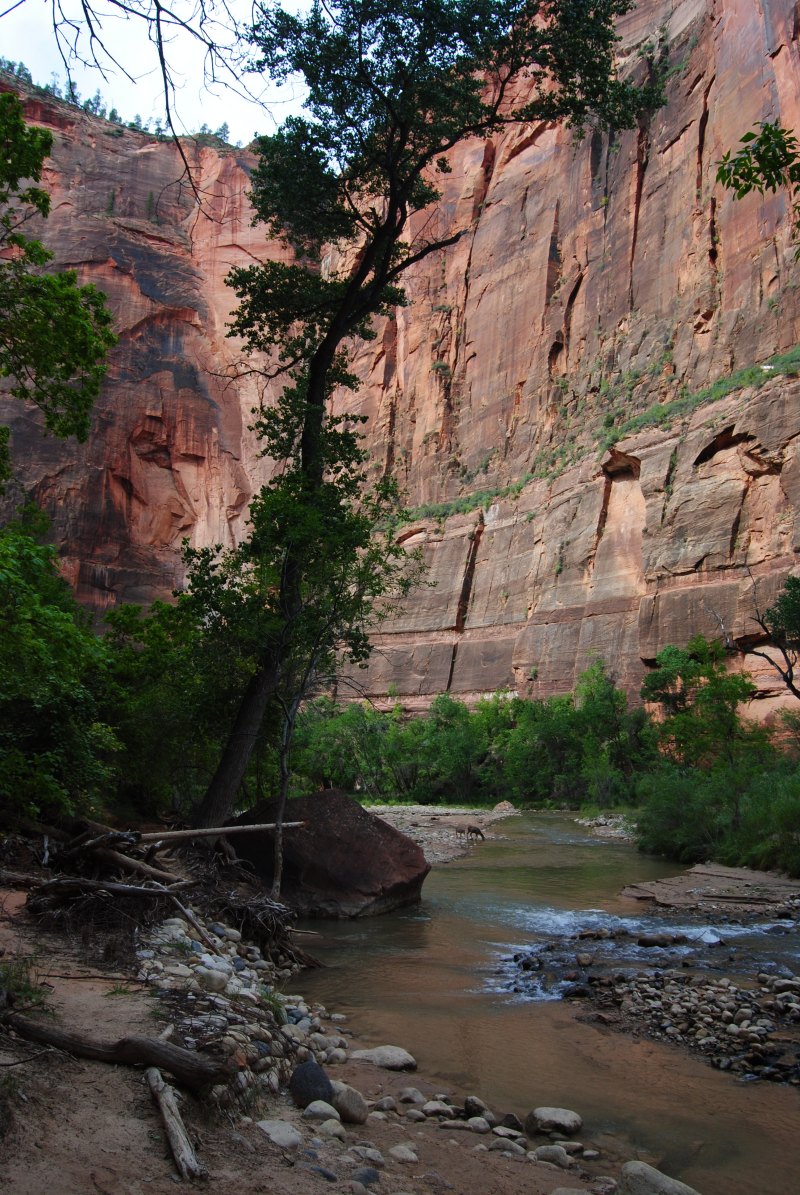 Zion Canyon National Park