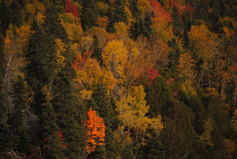 dsc_0185