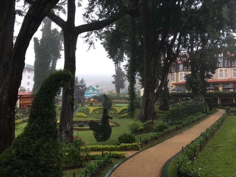 22089416_1678388682232142_769956402418995428_n