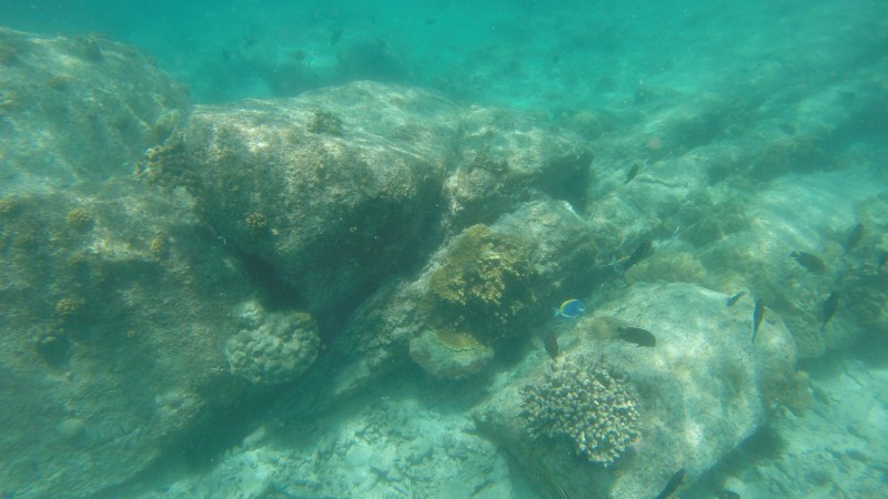 DCIM100GOPROG0170207.